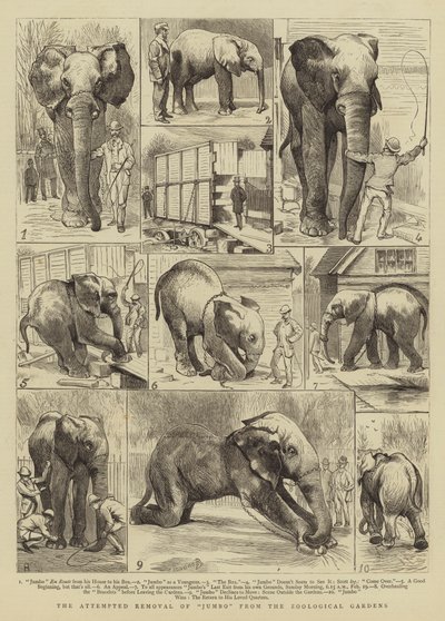 La Tentative de Retrait de Jumbo des Jardins Zoologiques - Alfred Chantrey Corbould